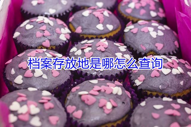 档案存放地是哪怎么查询