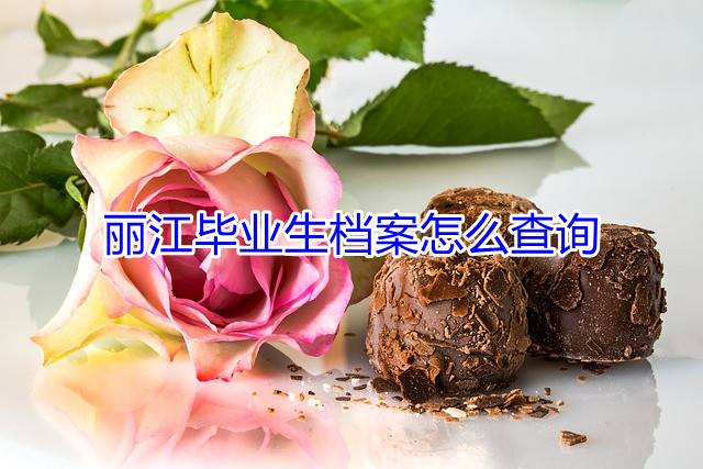 丽江毕业生档案怎么查询