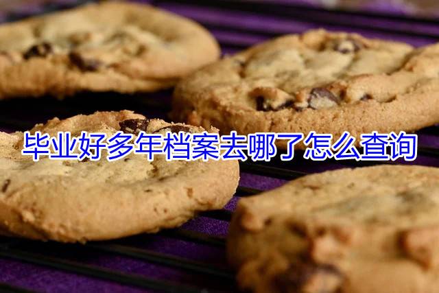 毕业好多年档案去哪了怎么查询