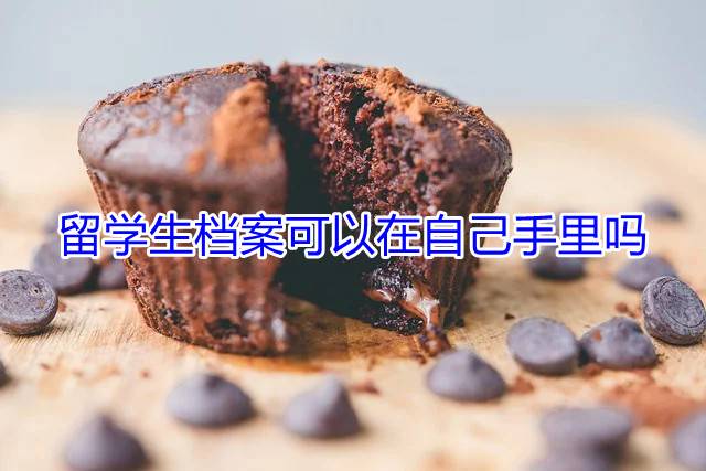 留学生档案可以在自己手里吗