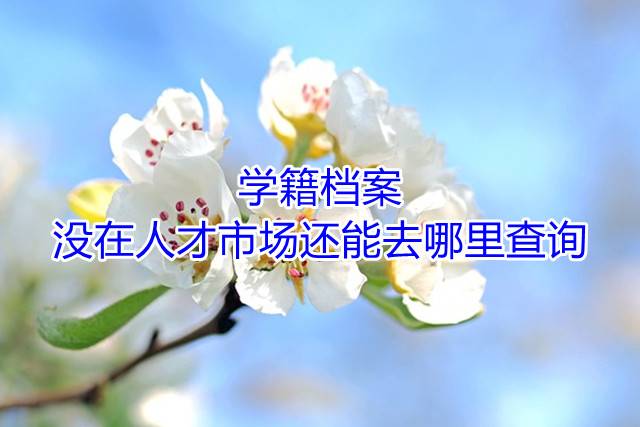 学籍档案没在人才市场还能去哪里查询