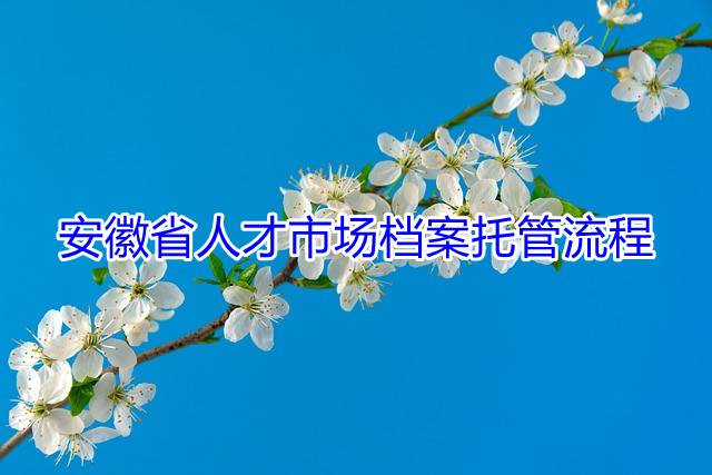 安徽省人才市场档案托管流程