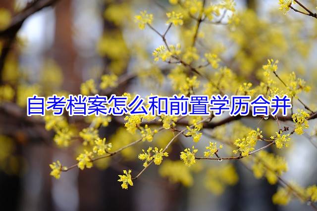 自考档案怎么和前置学历合并