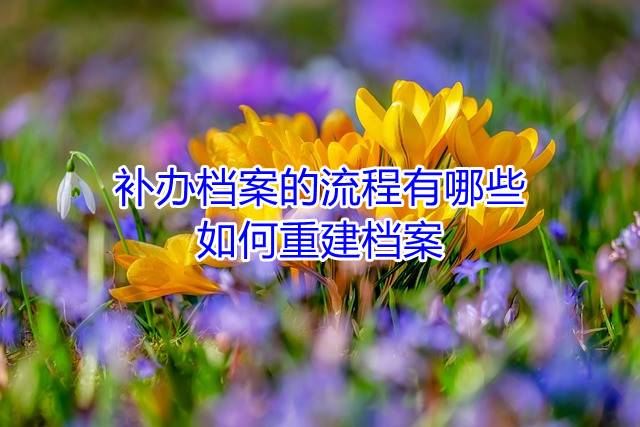 补办档案的流程有哪些，如何重建档案