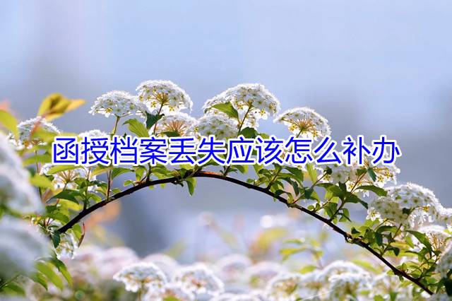 函授档案丢失应该怎么补办