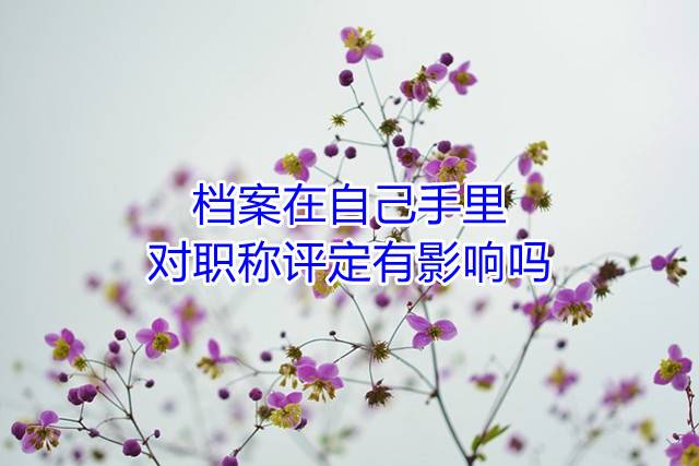 档案在自己手里，对职称评定有影响吗