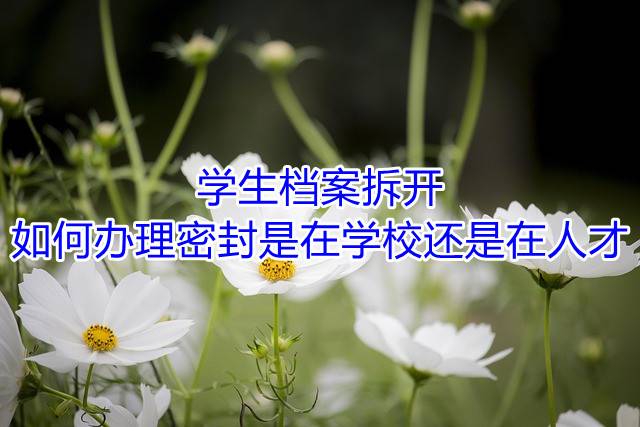 学生档案拆开如何办理密封是在学校还是在人才