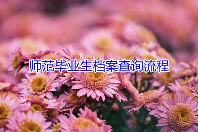 师范毕业生档案查询流程