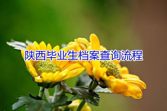 陕西毕业生档案查询流程