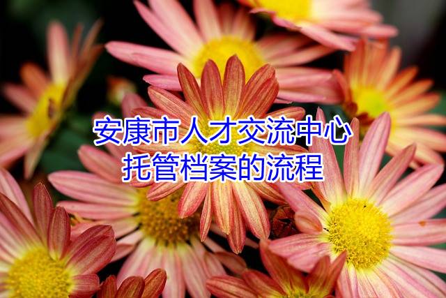 安康市人才交流中心托管档案的流程