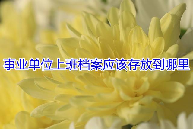 事业单位上班档案应该存放到哪里