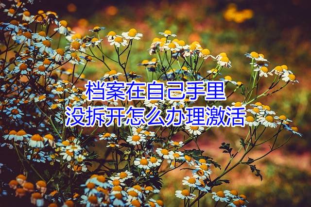 档案在自己手里没拆开怎么办理激活