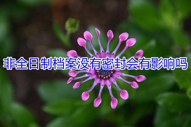 非全日制档案没有密封会有影响吗