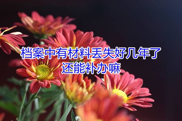 档案中有材料丢失好几年了还能补办嘛