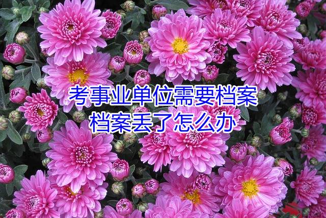 考事业单位需要档案，档案丢了怎么办
