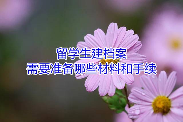 留学生建档案需要准备哪些材料和手续