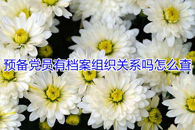 预备党员有档案组织关系吗怎么查