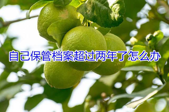 自己保管档案超过两年了怎么办