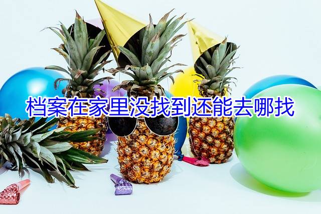档案在家里没找到还能去哪找