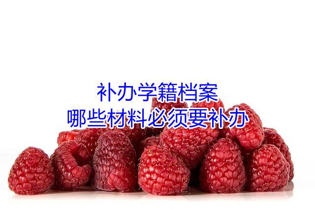 补办学籍档案，哪些材料必须要补办