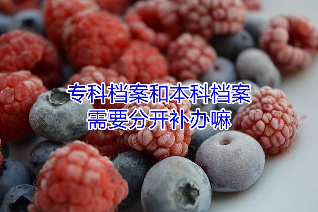 专科档案和本科档案需要分开补办嘛
