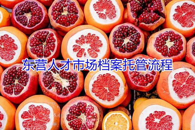 东营人才市场档案托管流程