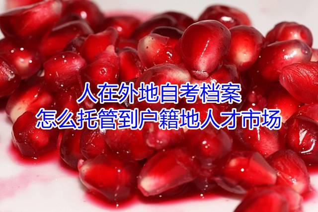 人在外地，自考档案怎么托管到户籍地人才市场