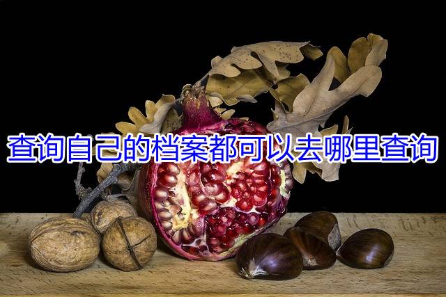 查询自己的档案都可以去哪里查询