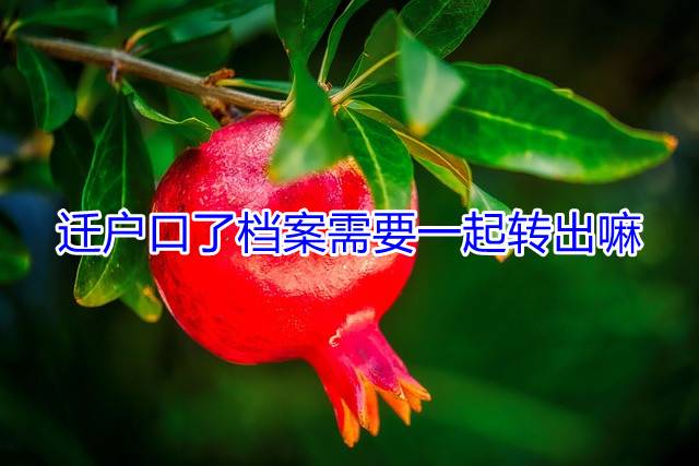 迁户口了档案需要一起转出嘛