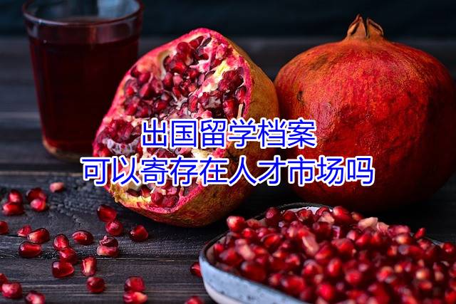 出国留学档案可以寄存在人才市场吗