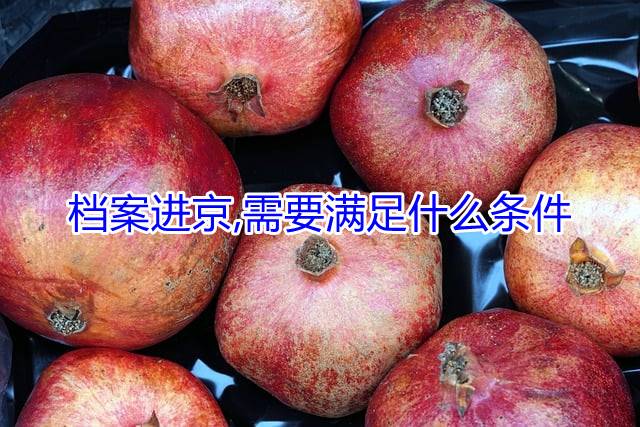 档案进京,需要满足什么条件