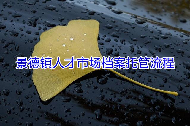 景德镇人才市场档案托管流程