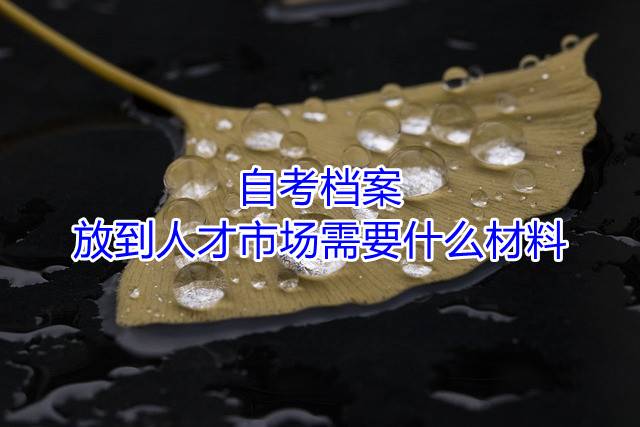 自考档案放到人才市场需要什么材料