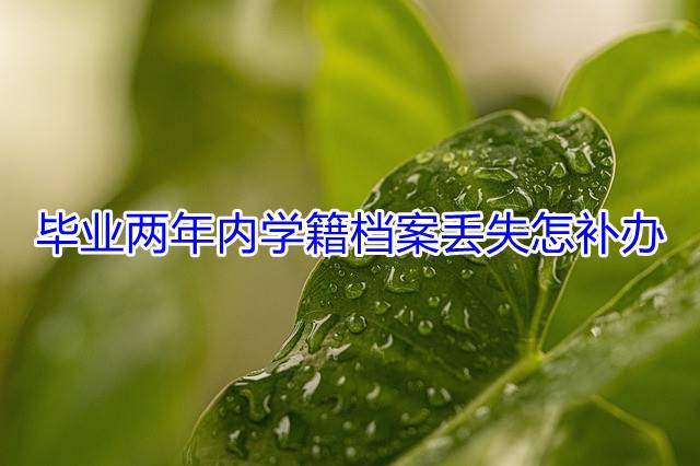 毕业两年内学籍档案丢失怎补办