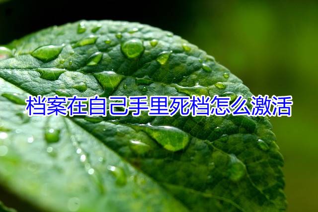 档案在自己手里死档怎么激活
