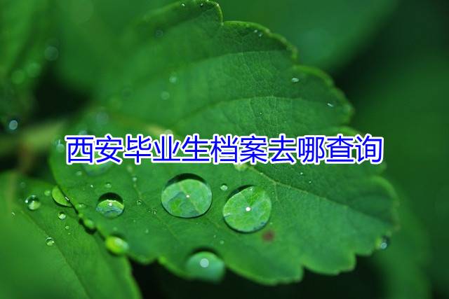 西安毕业生档案去哪查询