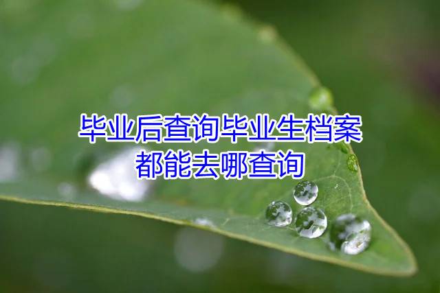 毕业后查询毕业生档案都能去哪查询