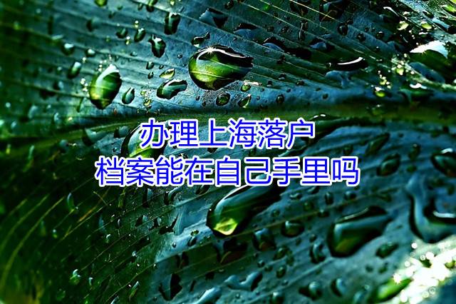 办理上海落户，档案能在自己手里吗
