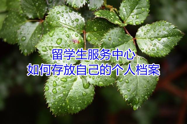 留学生服务中心如何存放自己的个人档案