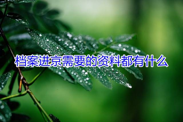 档案进京需要的资料都有什么