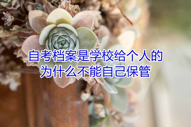 自考档案是学校给个人的，为什么不能自己保管