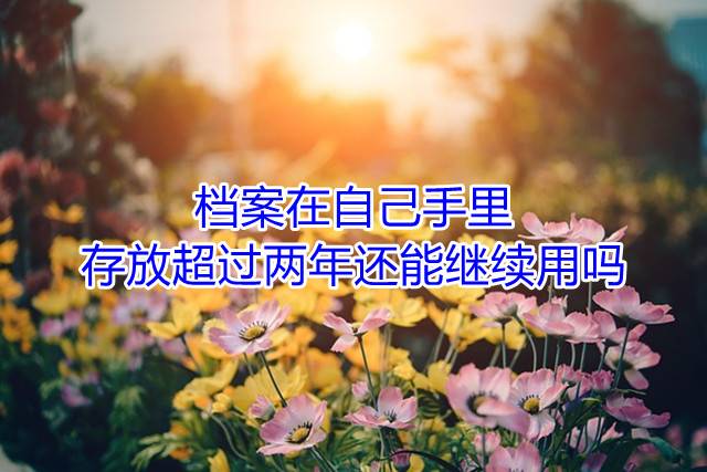档案在自己手里存放超过两年还能继续用吗