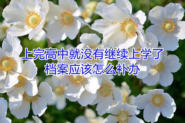 上完高中就没有继续上学了，档案应该怎么补办