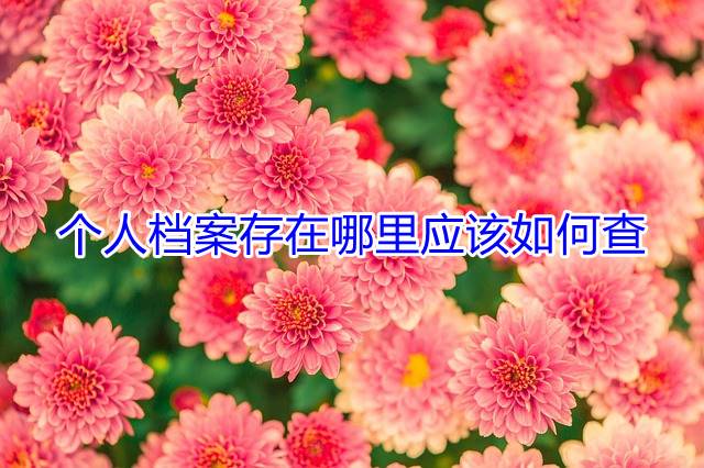 个人档案存在哪里应该如何查