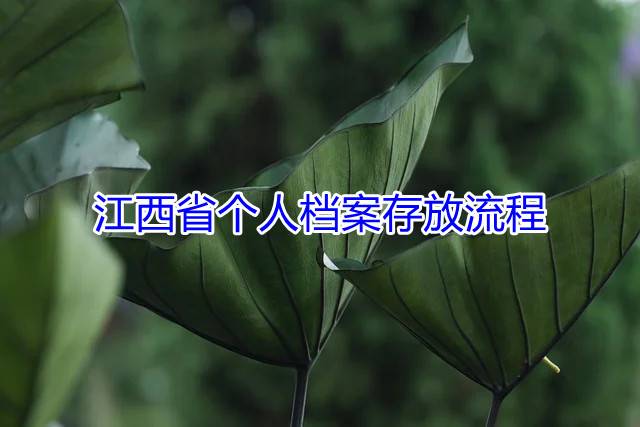 江西省个人档案存放流程