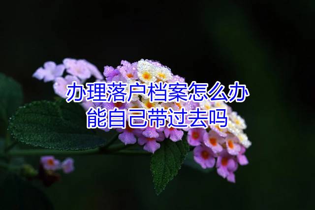 办理落户档案怎么办，能自己带过去吗