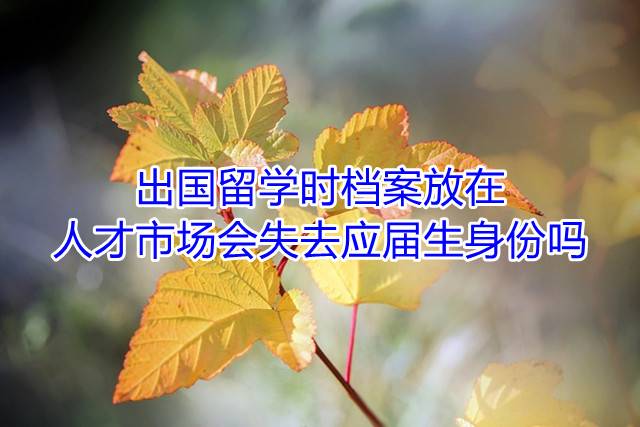 出国留学时档案放在人才市场会失去应届生身份吗