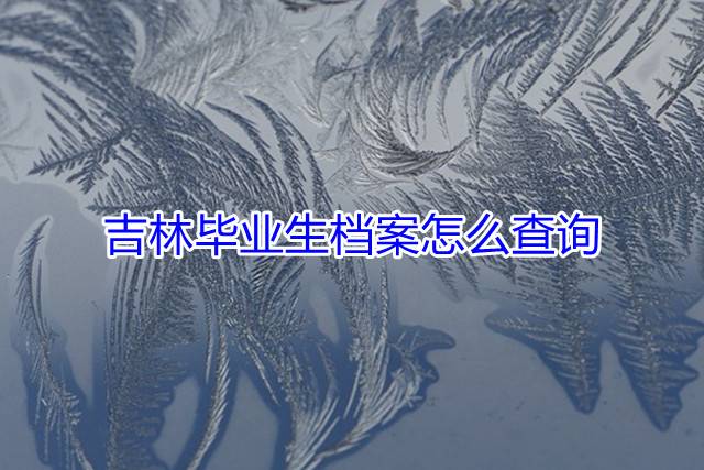 吉林毕业生档案怎么查询