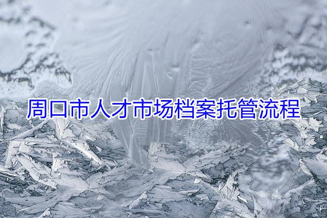 周口市人才市场档案托管流程