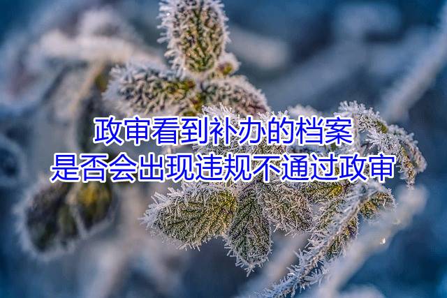 政审看到补办的档案是否会出现违规，不通过政审